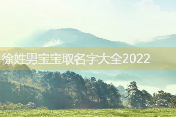 徐姓男宝宝取名字大全2022