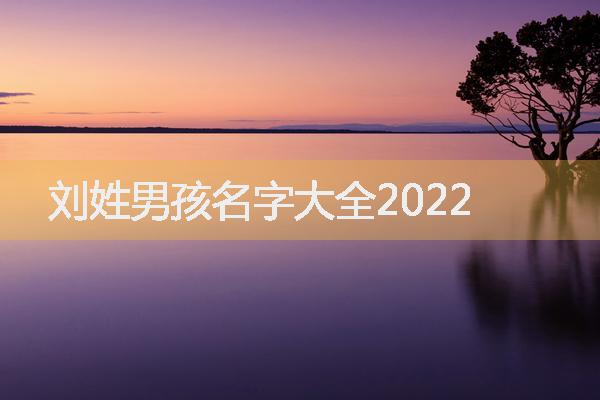 刘姓男孩名字大全2022