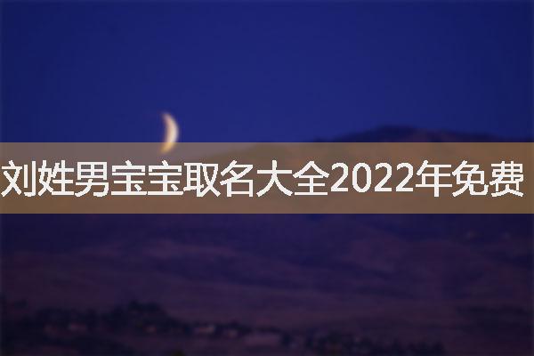 刘姓男宝宝取名大全2022年免费