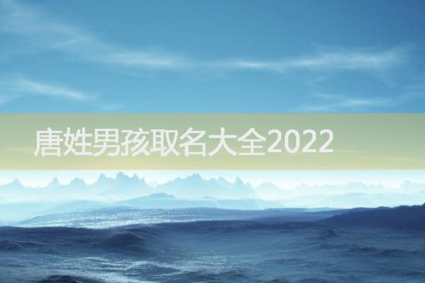 唐姓男孩取名大全2022