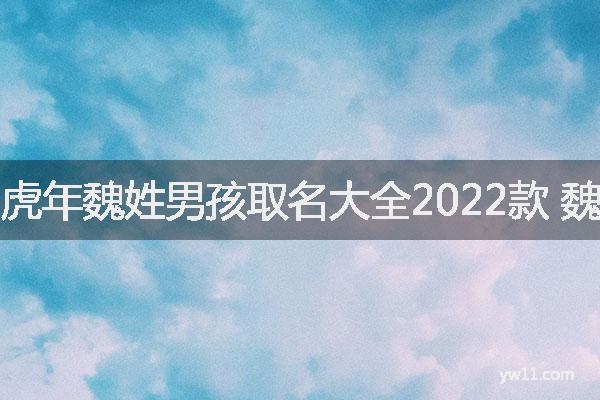 虎年魏姓男孩取名大全2022款 魏姓好听独特的男孩名字