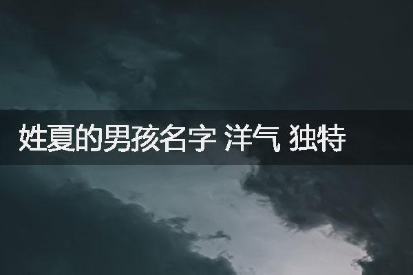 姓夏的男孩名字 洋气 独特