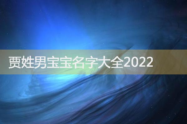 贾姓男宝宝名字大全2022