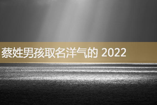 蔡姓男孩取名洋气的 2022