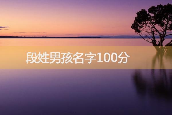 段姓男孩名字100分