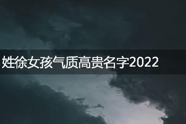 姓徐女孩气质高贵名字2022