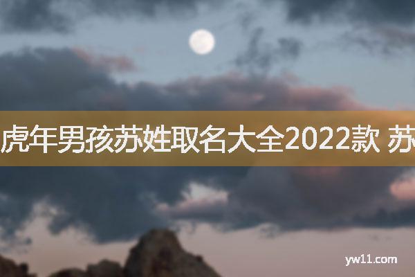 虎年男孩苏姓取名大全2022款 苏姓儒雅好听名字男孩