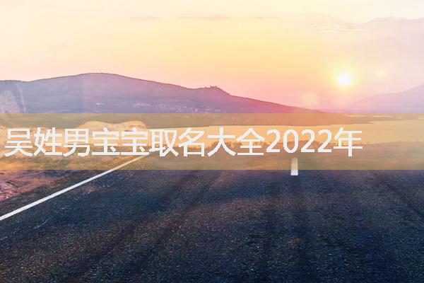 吴姓男宝宝取名大全2022年