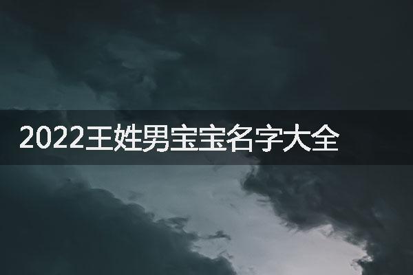 2022王姓男宝宝名字大全