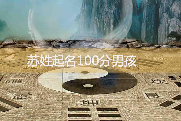 苏姓起名100分男孩