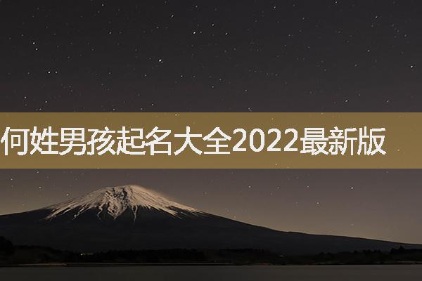 何姓男孩起名大全2022最新版