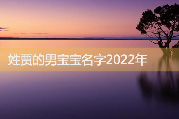 姓贾的男宝宝名字2022年