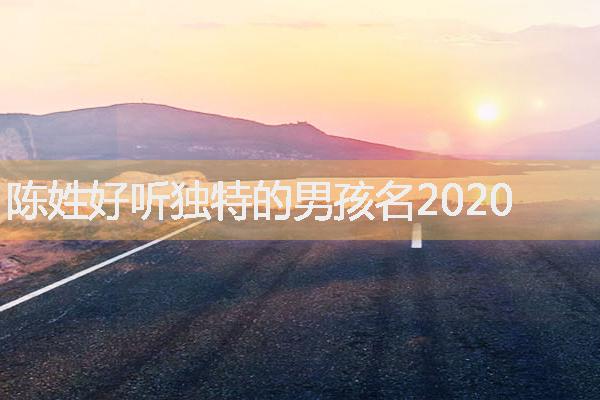 陈姓好听独特的男孩名2020