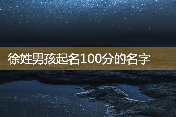 徐姓男孩起名100分的名字