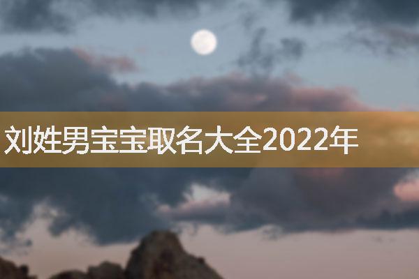 刘姓男宝宝取名大全2022年