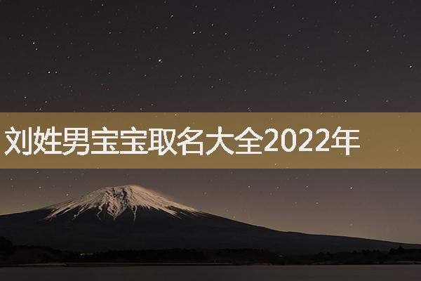 刘姓男宝宝取名大全2022年