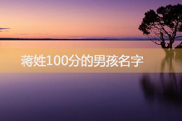 蒋姓100分的男孩名字