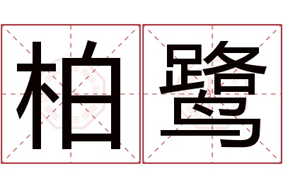 柏鹭名字寓意