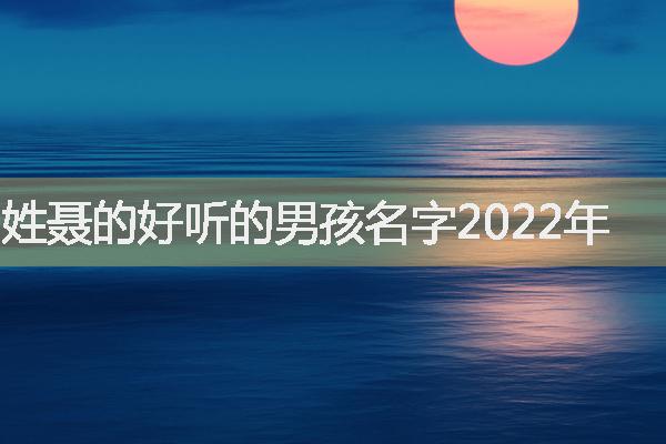 姓聂的好听的男孩名字2022年