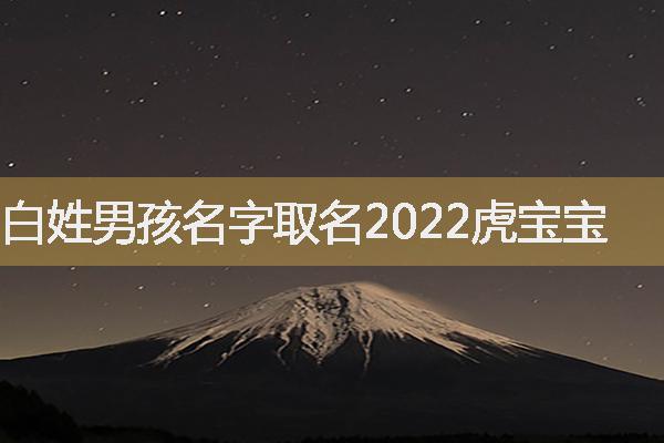 白姓男孩名字取名2022虎宝宝