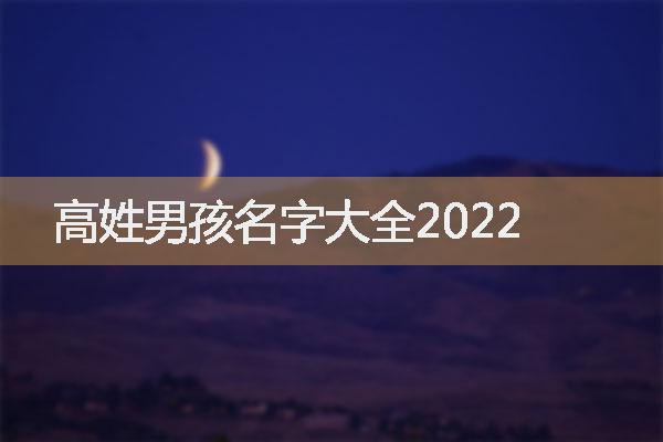 高姓男孩名字大全2022