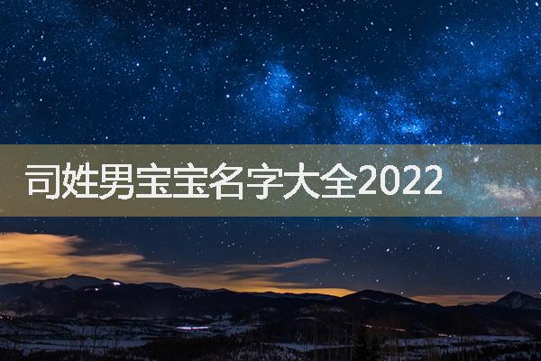 司姓男宝宝名字大全2022