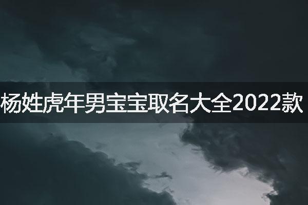 杨姓虎年男宝宝取名大全2022款