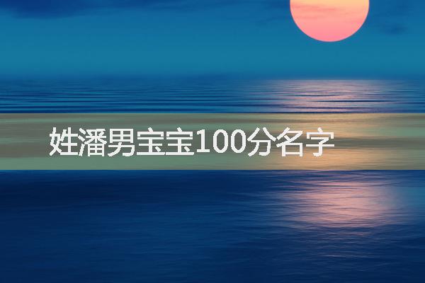 姓潘男宝宝100分名字