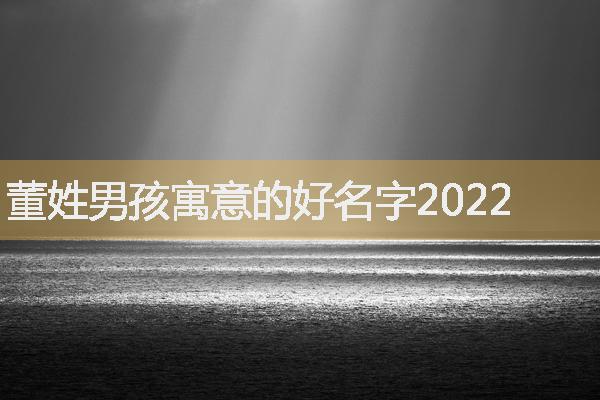 董姓男孩寓意的好名字2022