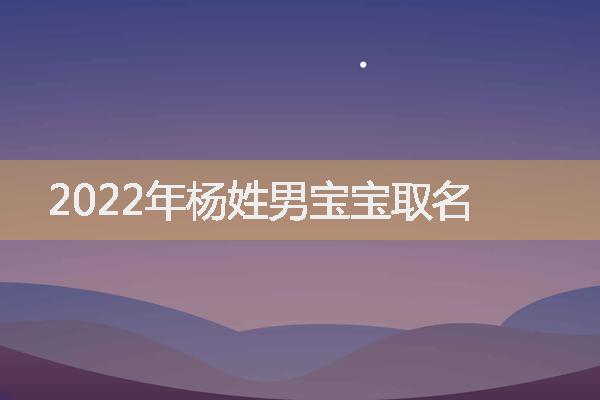 2022年杨姓男宝宝取名