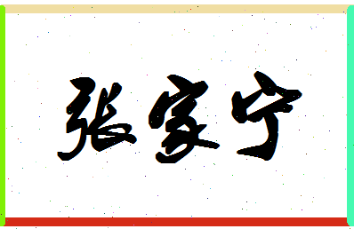 「张家宁」姓名分数98分-张家宁名字评分解析插图