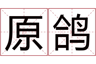 原鸽名字寓意