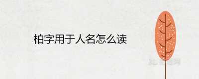 柏字用于人名怎么读