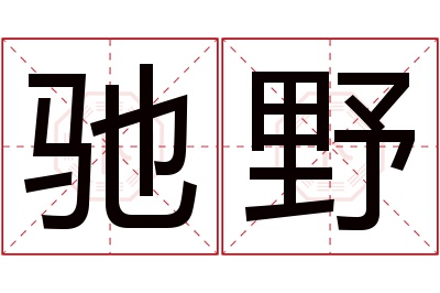 驰野名字寓意