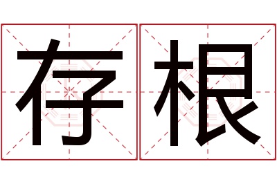 存根名字寓意