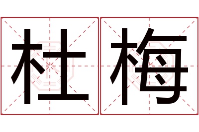 杜梅名字寓意